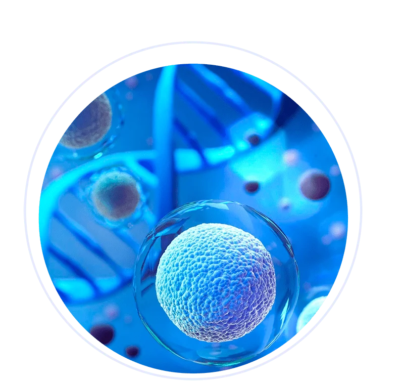 Maternal Fetal Medicine