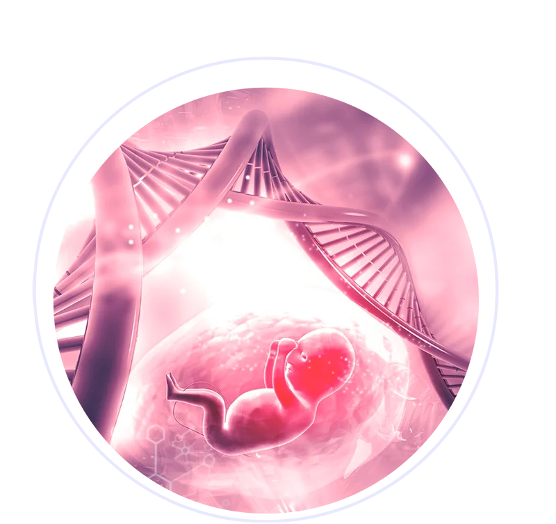 Maternal-Fetal Medicine